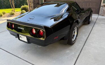 Chevrolet-Corvette-1981-Coupe-9