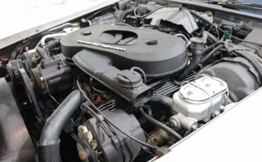 Chevrolet-Corvette-1982-Coupe-10