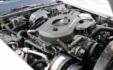 Chevrolet-Corvette-1982-Coupe-11