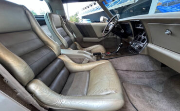 Chevrolet-Corvette-1982-Hatchback-16