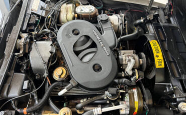 Chevrolet-Corvette-1982-Hatchback-20