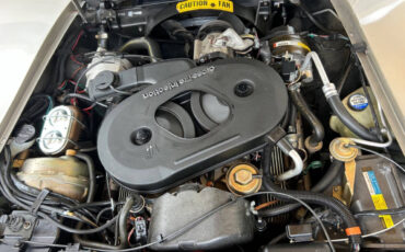 Chevrolet-Corvette-1982-Hatchback-21