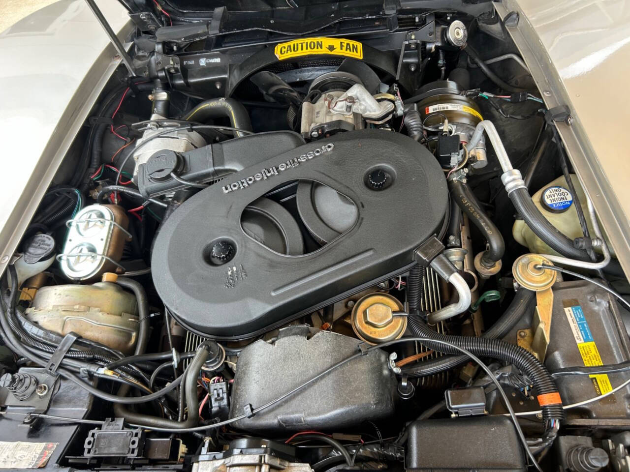 Chevrolet-Corvette-1982-Hatchback-21