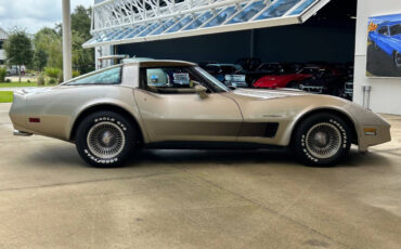 Chevrolet-Corvette-1982-Hatchback-3