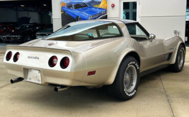 Chevrolet-Corvette-1982-Hatchback-4