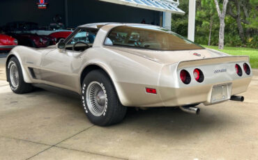 Chevrolet-Corvette-1982-Hatchback-6
