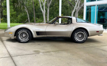 Chevrolet-Corvette-1982-Hatchback-7