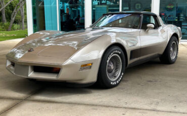 Chevrolet-Corvette-1982-Hatchback-8