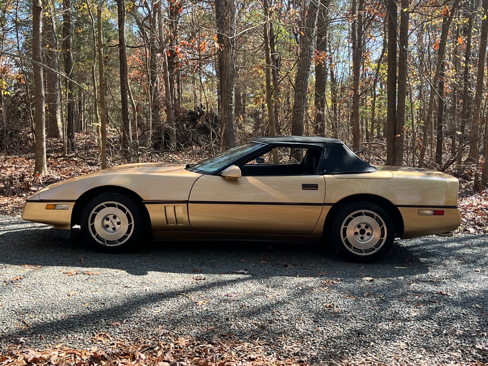 Chevrolet-Corvette-1986-Convertible-4