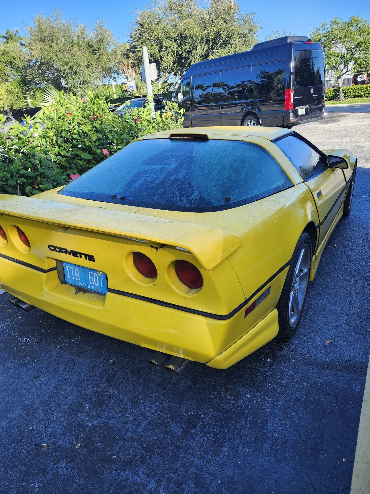 Chevrolet-Corvette-1987-Hatchback-2