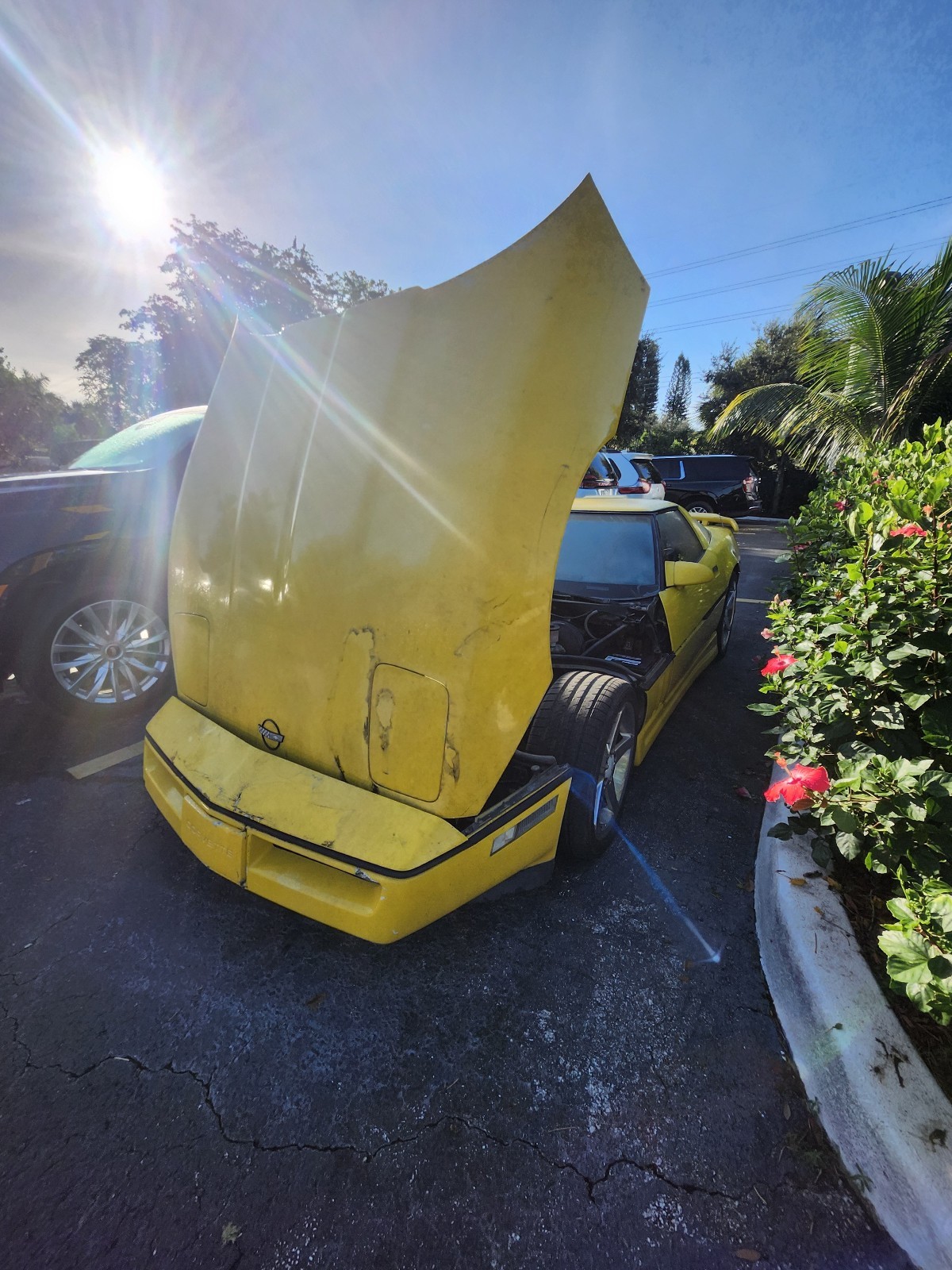 Chevrolet-Corvette-1987-Hatchback-4