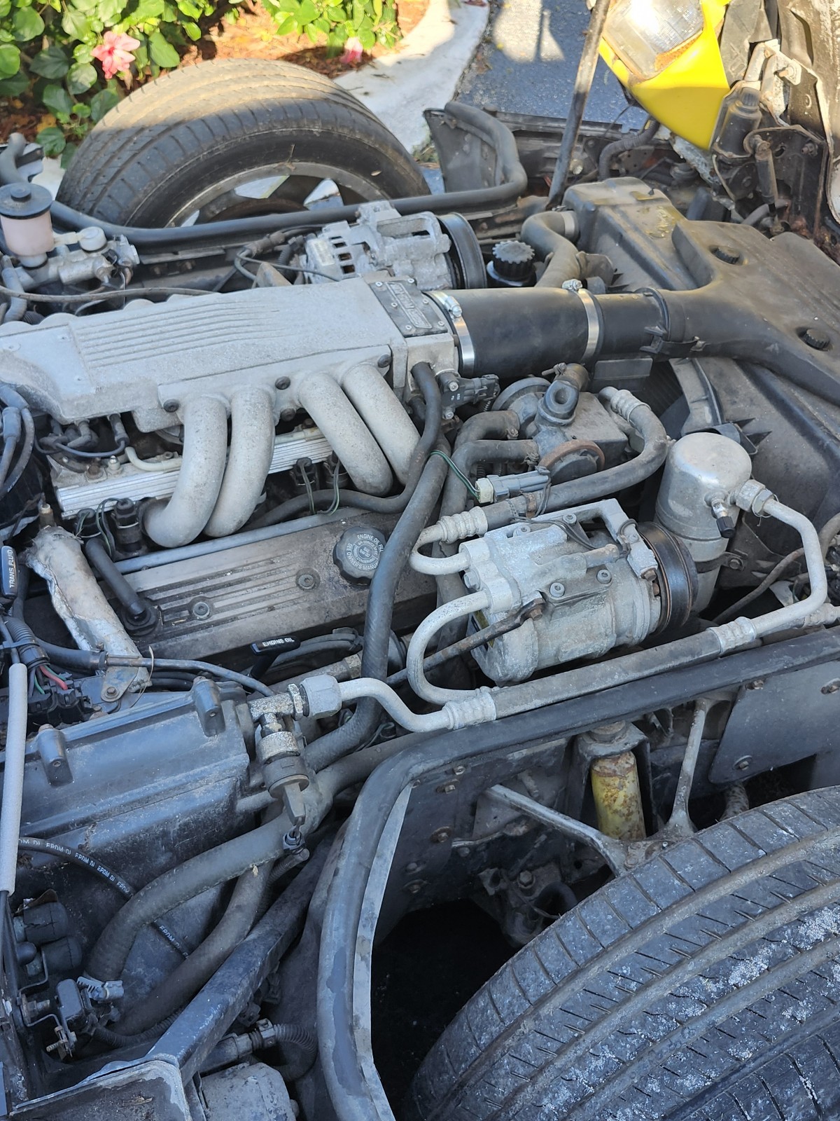 Chevrolet-Corvette-1987-Hatchback-8