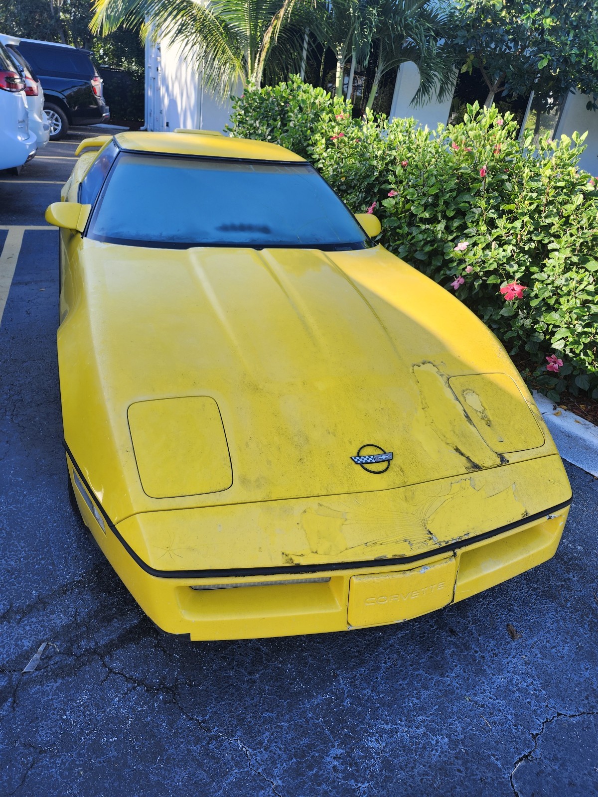 Chevrolet Corvette 1987 Hatchback