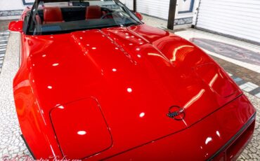 Chevrolet-Corvette-1988-13