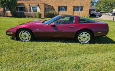 Chevrolet-Corvette-1993-Hatchback-5