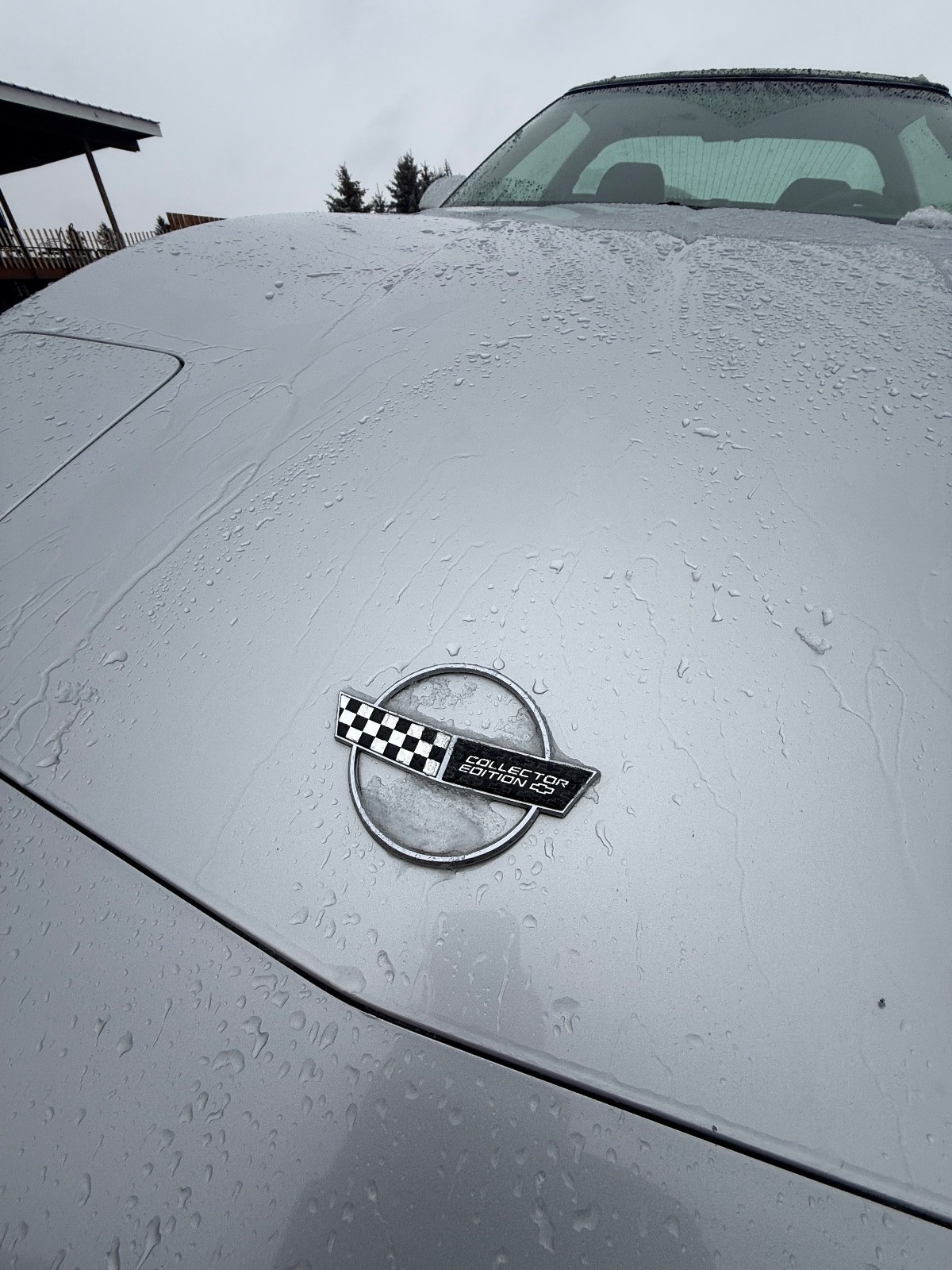 Chevrolet-Corvette-1996-Convertible-6