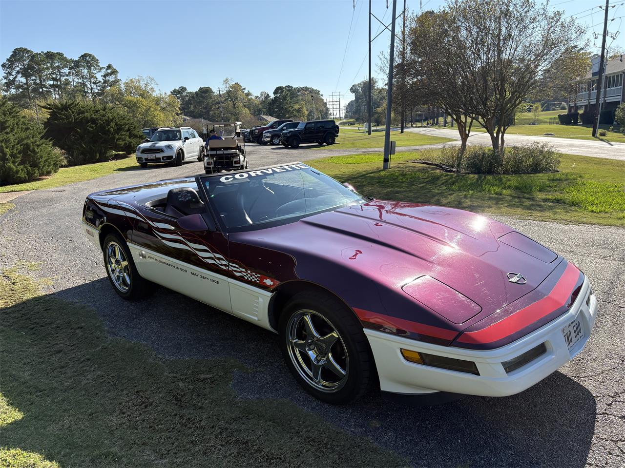 Chevrolet-Corvette-indy-500-pace-car-1995-Purple-and-white-Black-and-purple-2
