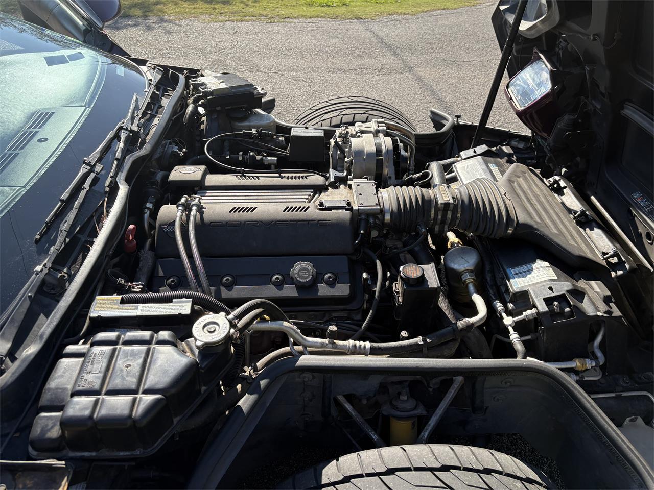 Chevrolet-Corvette-indy-500-pace-car-1995-Purple-and-white-Black-and-purple-8