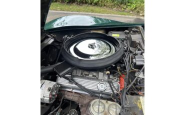 Chevrolet-Corvette-stingray-1973-Bluegreen-Saddle-5