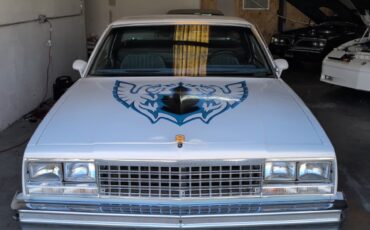 Chevrolet-El-Camino-1984-Standard-Cab-Pickup-1