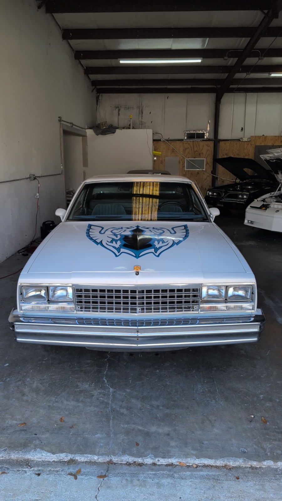 Chevrolet-El-Camino-1984-Standard-Cab-Pickup-1