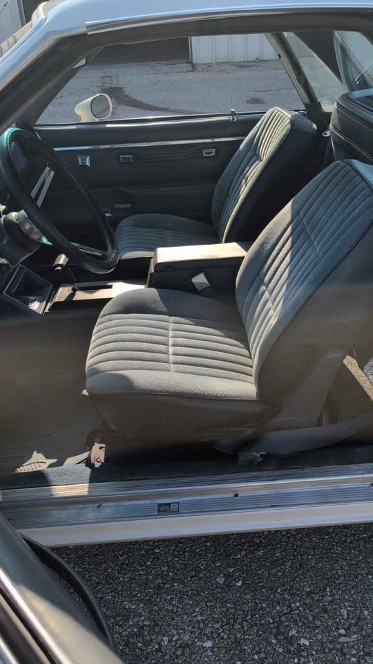 Chevrolet-El-Camino-1984-Standard-Cab-Pickup-23