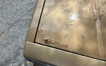 Chevrolet-El-Camino-1985-5