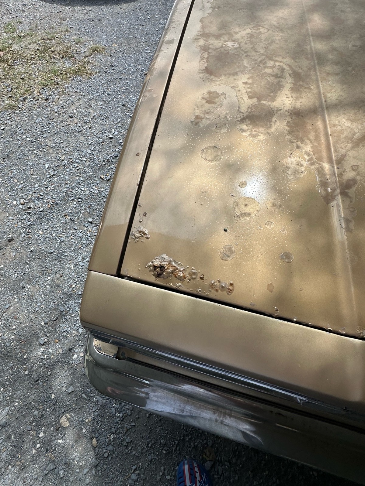 Chevrolet-El-Camino-1985-5