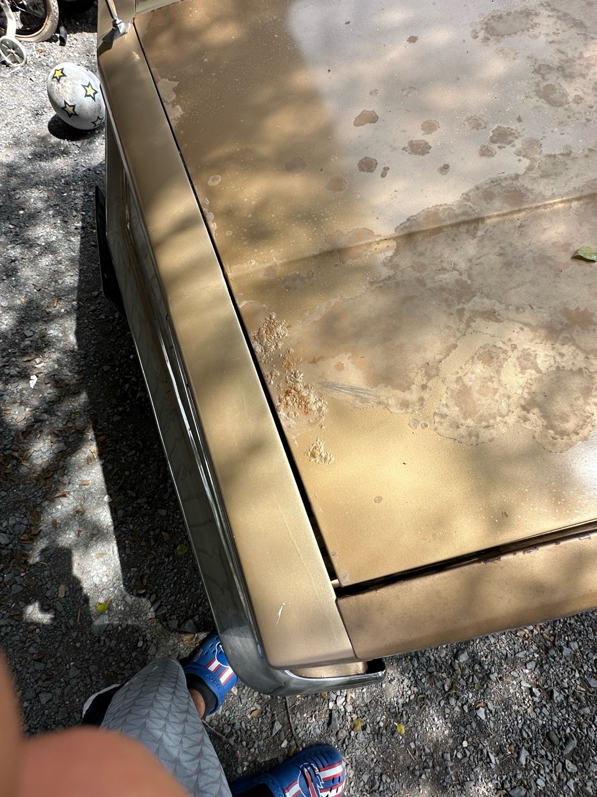 Chevrolet-El-Camino-1985-7