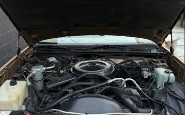 Chevrolet-El-camino-1987-Brown-Brown-10