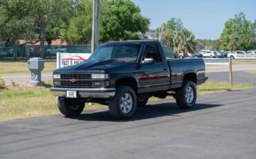 Chevrolet-Gmt-400-1993-Standard-Cab-Pickup