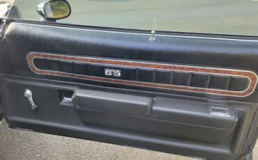 Chevrolet-Laguna-s3-1975-black-black-6