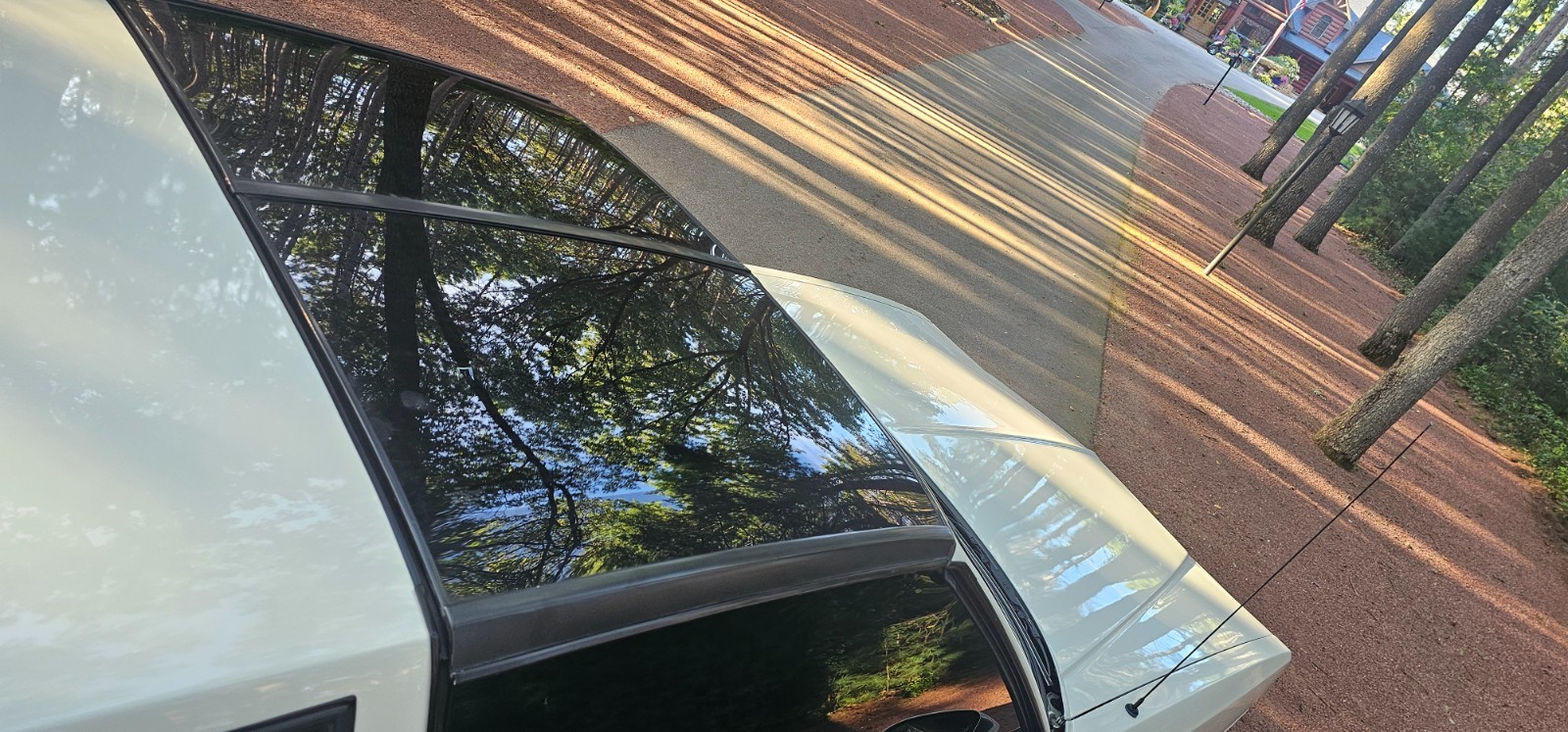 Chevrolet-Monte-Carlo-1986-Coupe-11