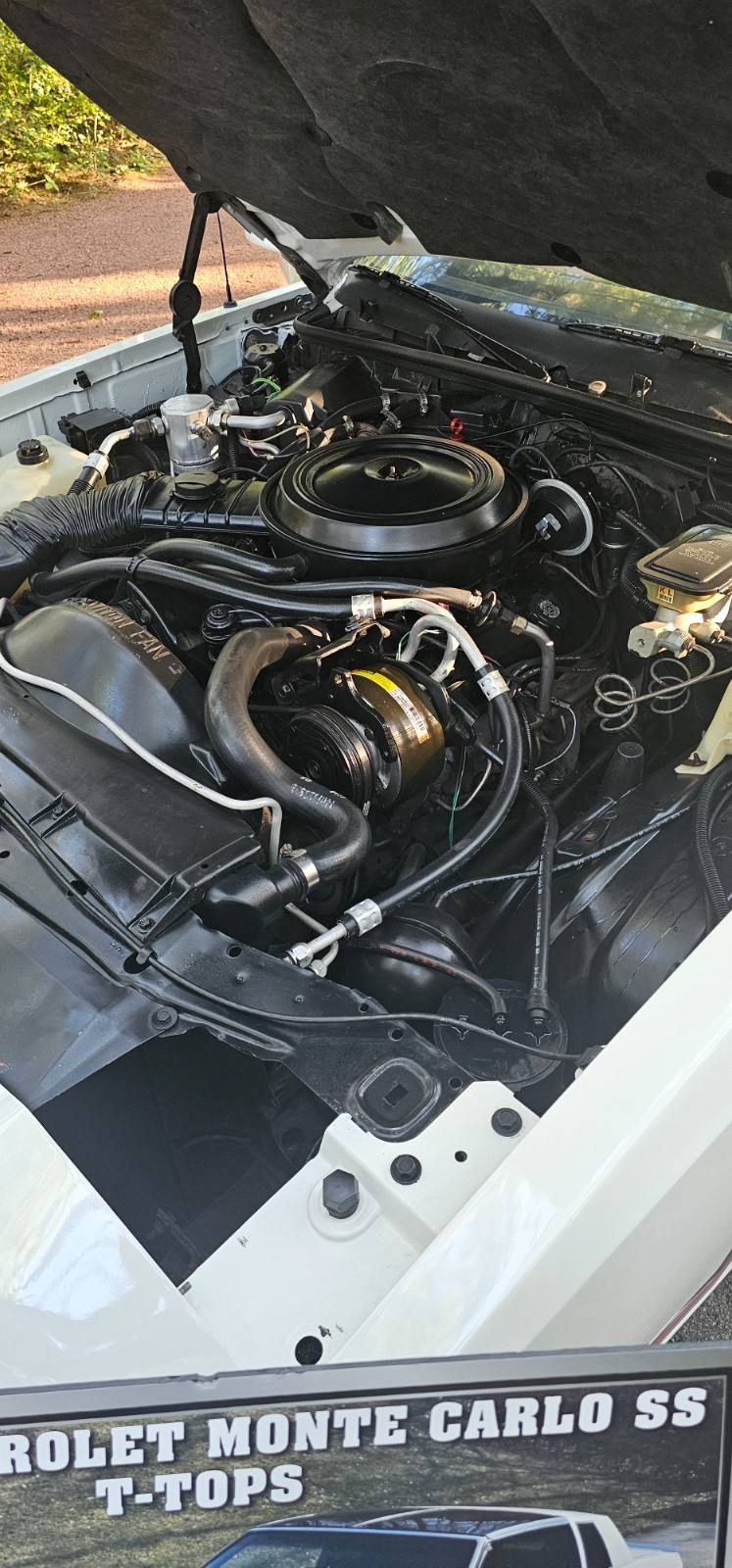 Chevrolet-Monte-Carlo-1986-Coupe-2