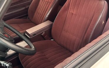 Chevrolet-Monte-Carlo-1988-5