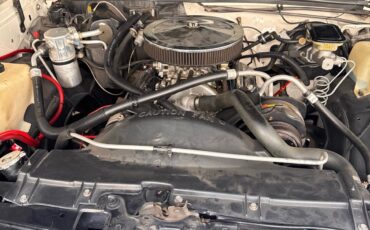 Chevrolet-Monte-Carlo-1988-8