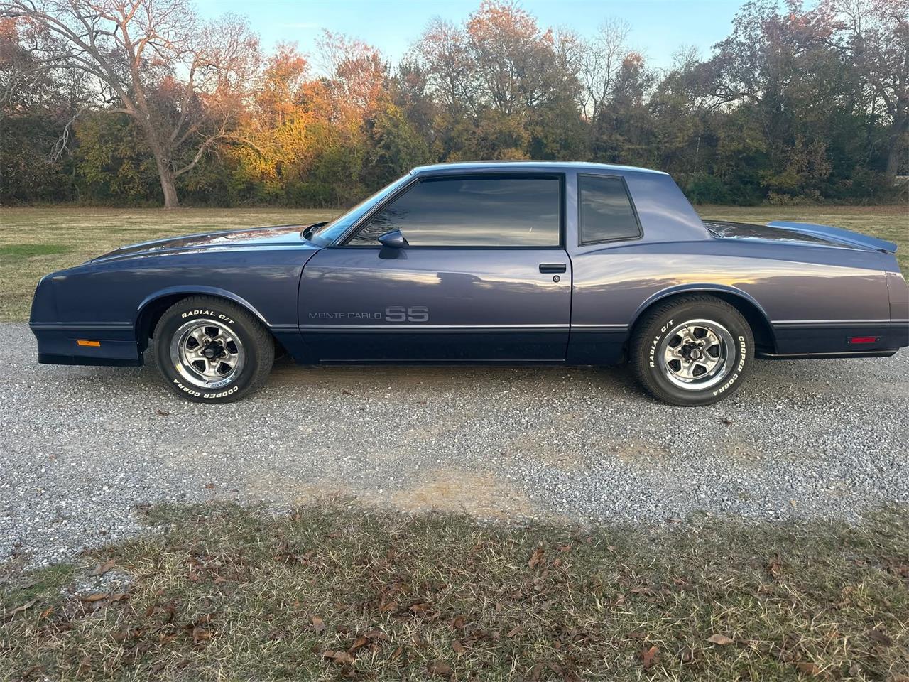 Chevrolet-Monte-carlo-ss-1984-Blue-Blue-2