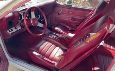 Chevrolet-Monza-1980-Coupe-14