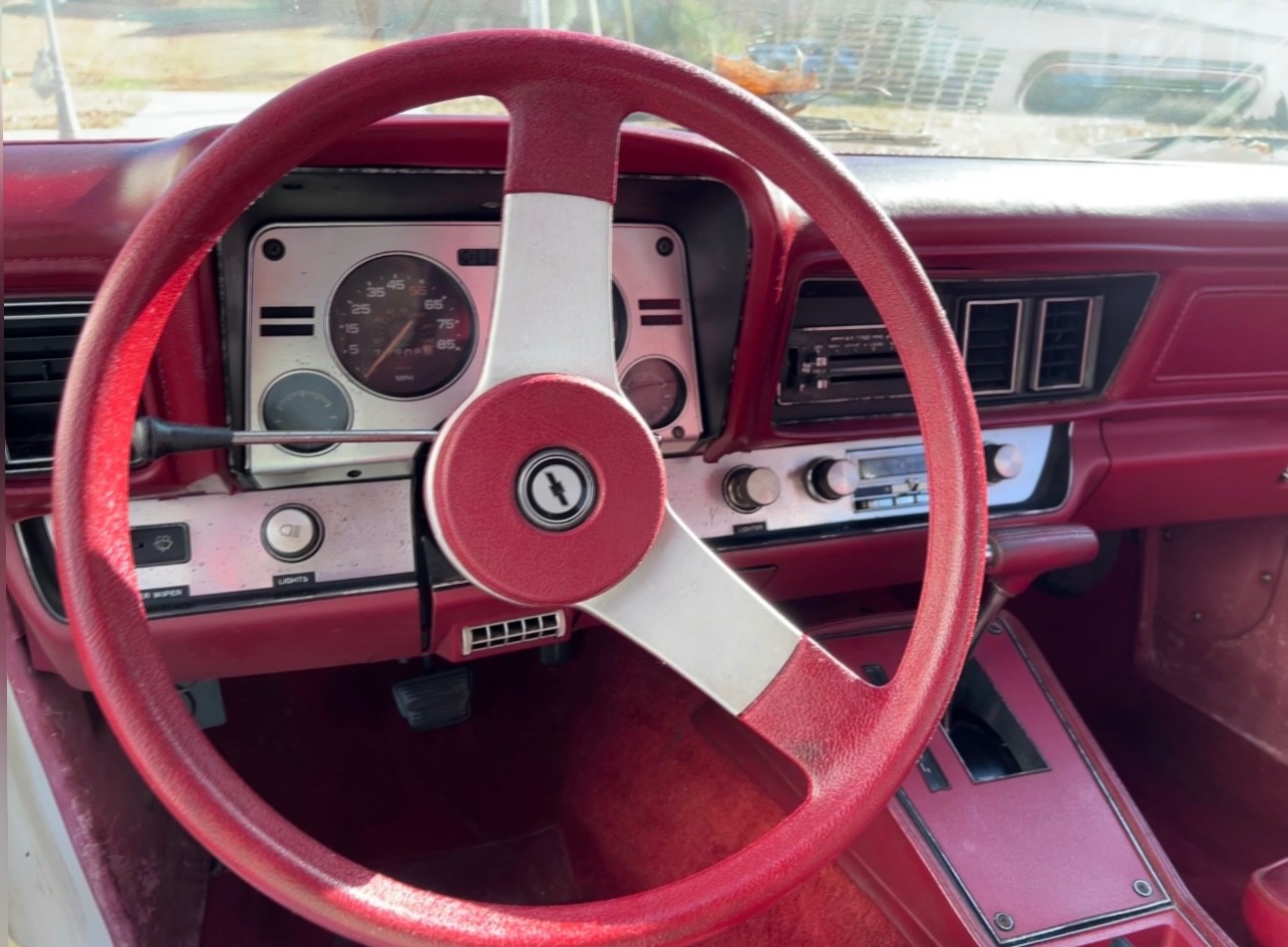 Chevrolet-Monza-1980-Coupe-16