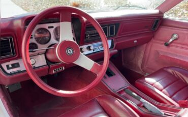 Chevrolet-Monza-1980-Coupe-18