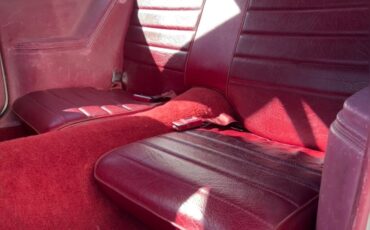 Chevrolet-Monza-1980-Coupe-19