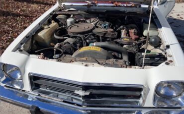 Chevrolet-Monza-1980-Coupe-24