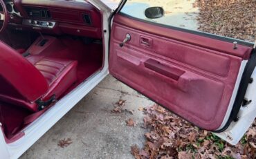 Chevrolet-Monza-1980-Coupe-9