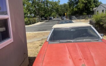 Chevrolet-Other-1969-2