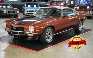 Chevrolet-Other-1970-Brown-Black-14