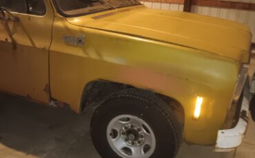 Chevrolet-Other-1975-Crew-Cab-Pickup-6