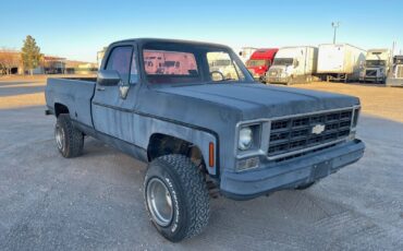 Chevrolet-Other-1978-Standard-Cab-Pickup-1