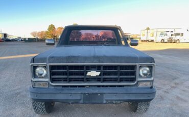 Chevrolet-Other-1978-Standard-Cab-Pickup-2