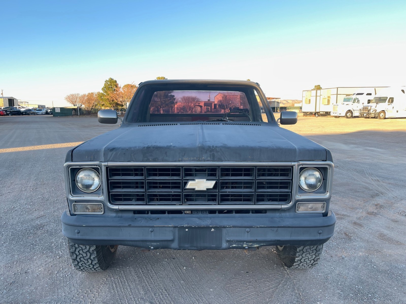 Chevrolet-Other-1978-Standard-Cab-Pickup-2