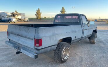 Chevrolet-Other-1978-Standard-Cab-Pickup-3